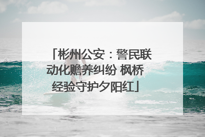 彬州公安：警民联动化赡养纠纷 枫桥经验守护夕阳红